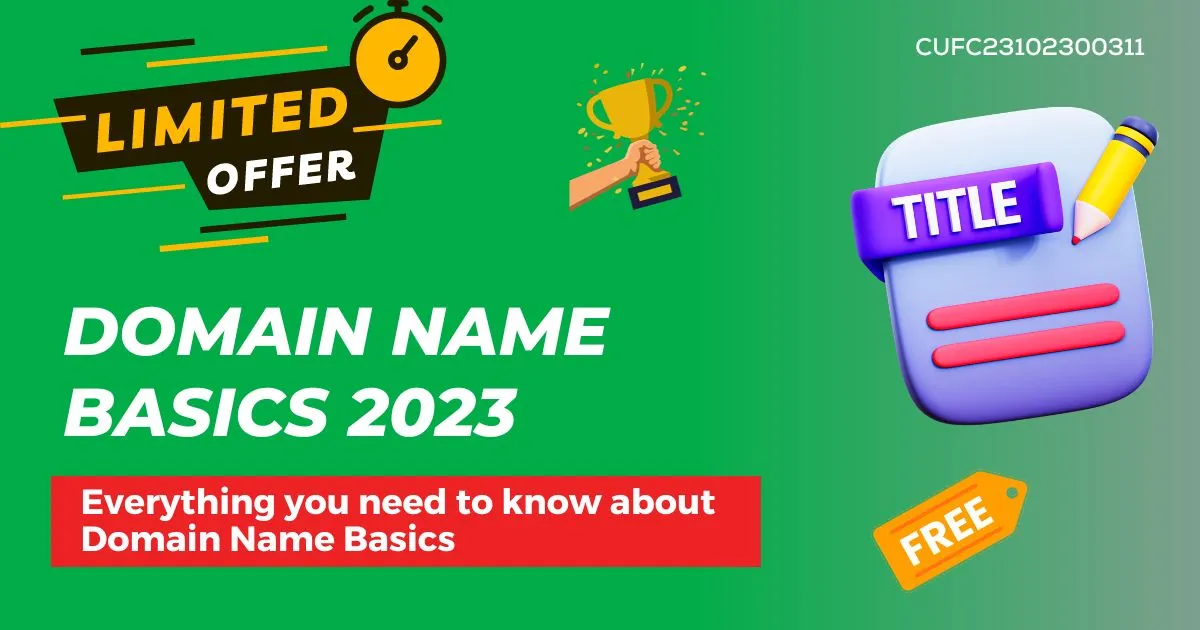 Domain Name Basics 2023